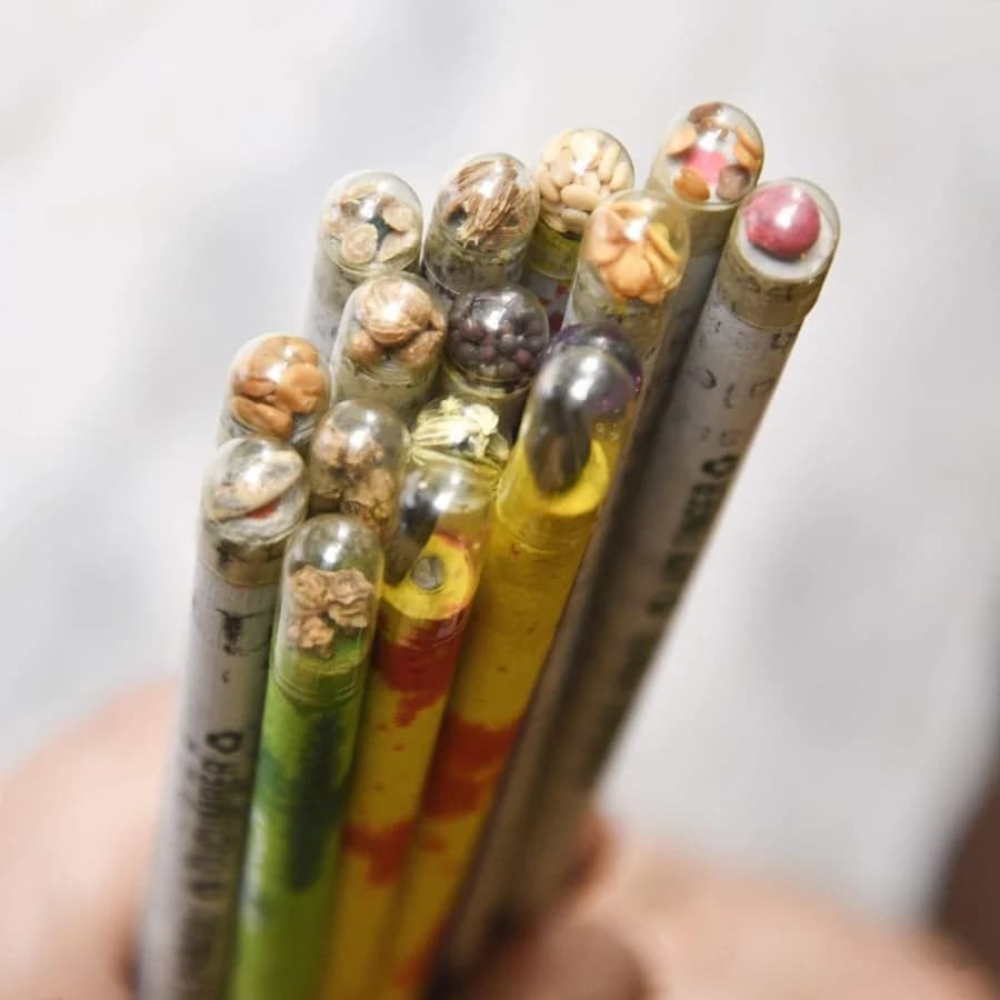 Paper Pencil - Plantable Seed - Pack of 10