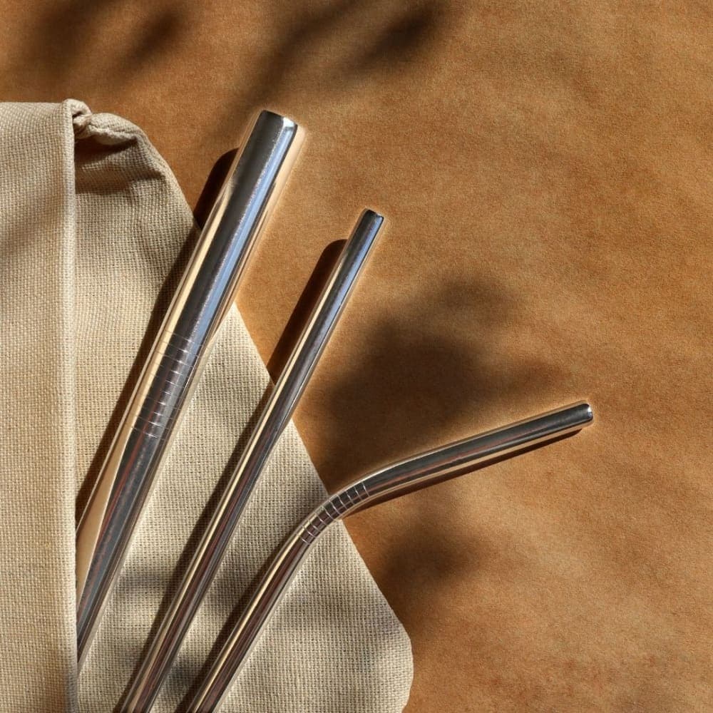 Stainless Steel Reusable Straws Set – 1 Straight, 1 Bent with Sisal Cleaner